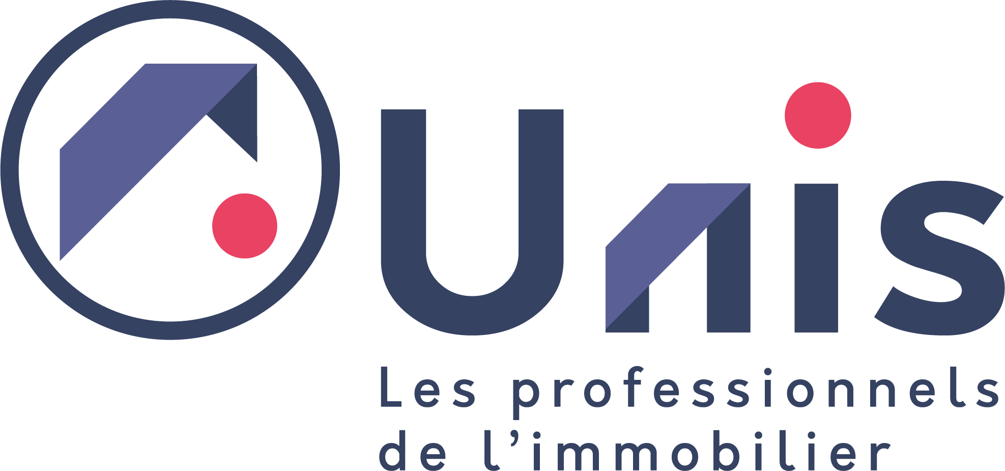 Logo UNIS png